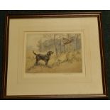 After Henry Wilkinson. Labrador spooking a pheasant, artist signed limited edition coloured etching,