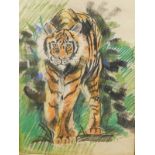 J Kathy (20thC). Tiger, chalk, signed, 59cm x 40.5cmTo be sold on behalf of The Usher Gallery