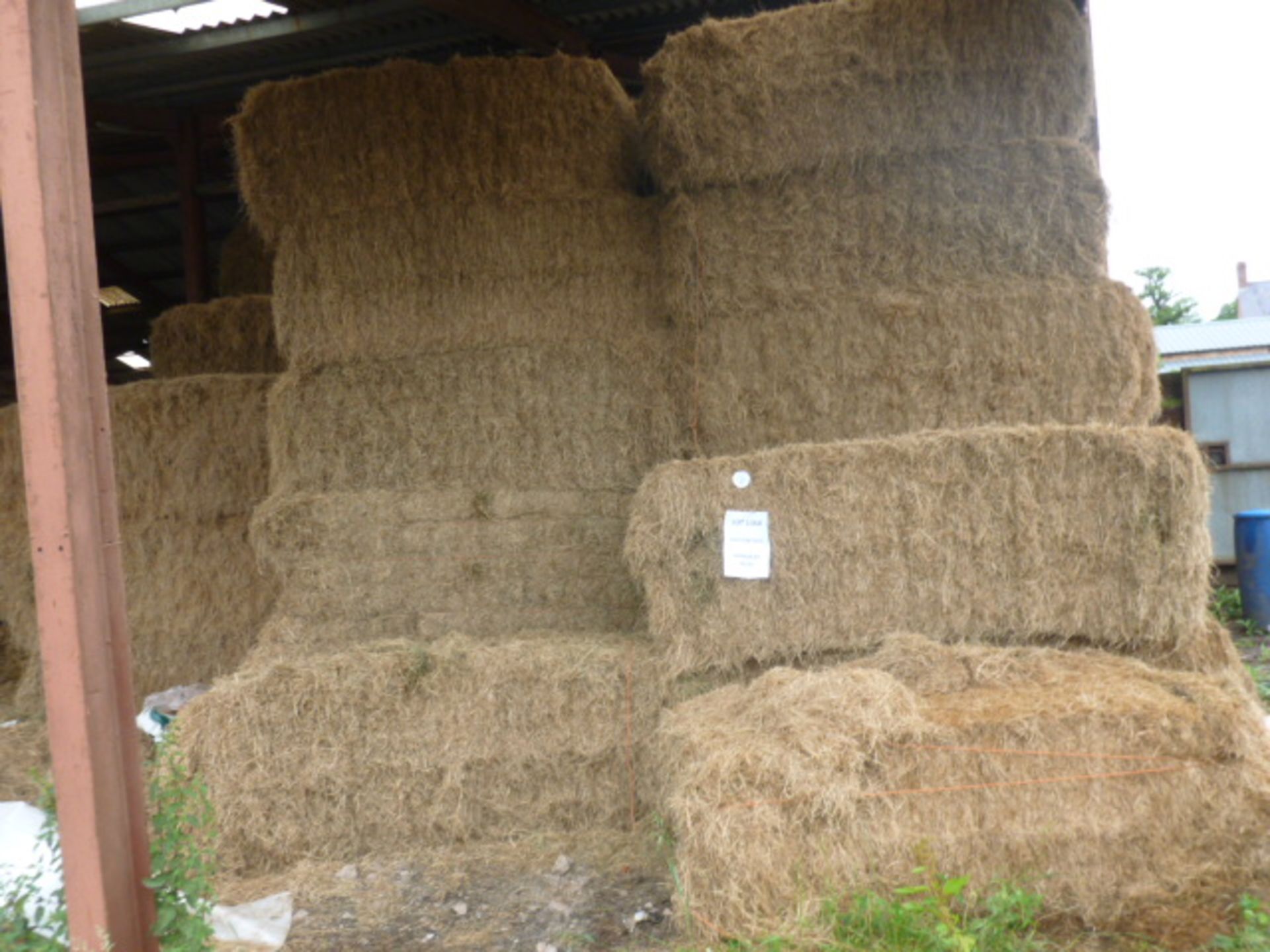 APPROX 60 BALES OF HAY