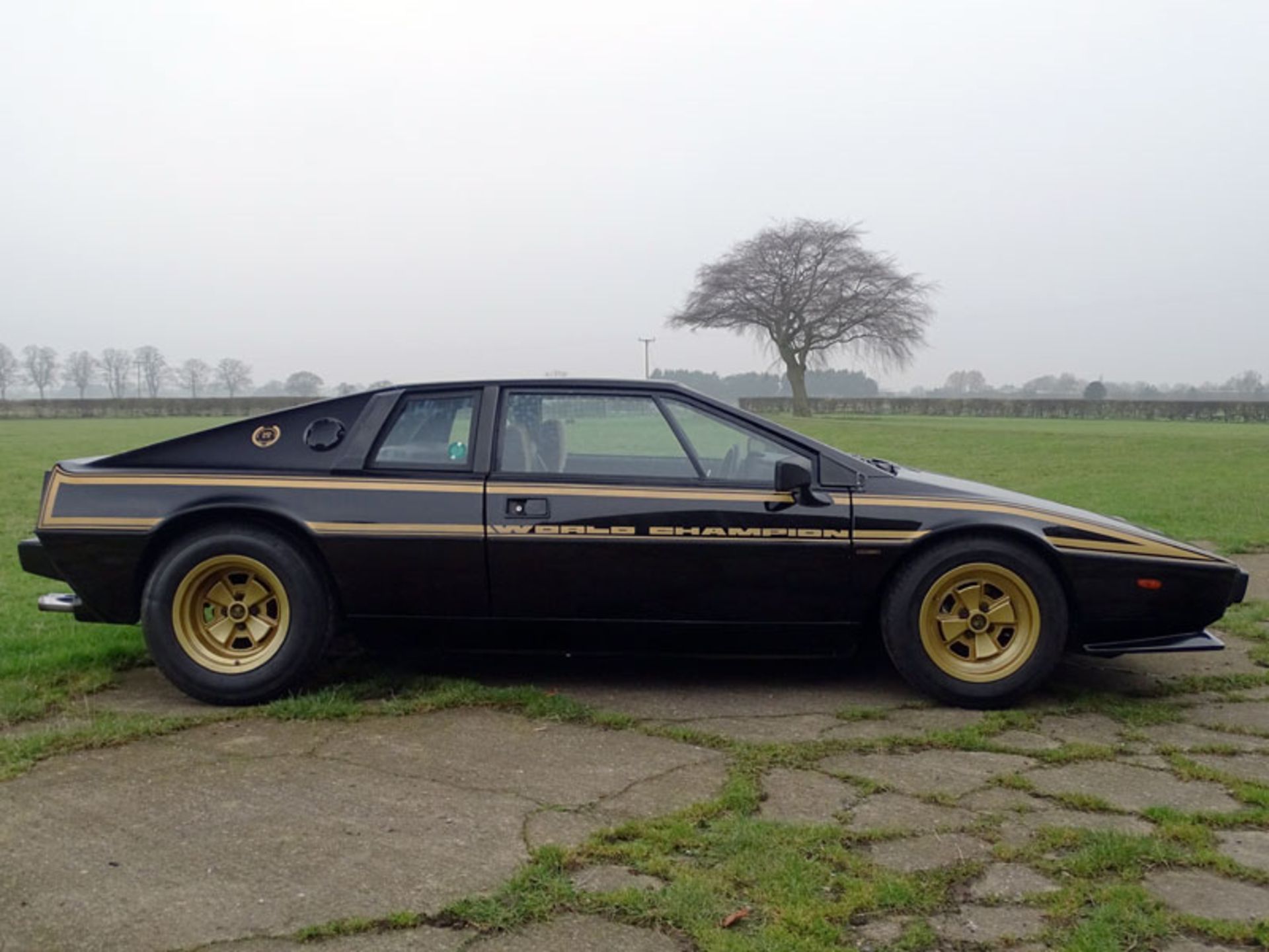 1979 Lotus Esprit 'Commemorative' - Image 3 of 12