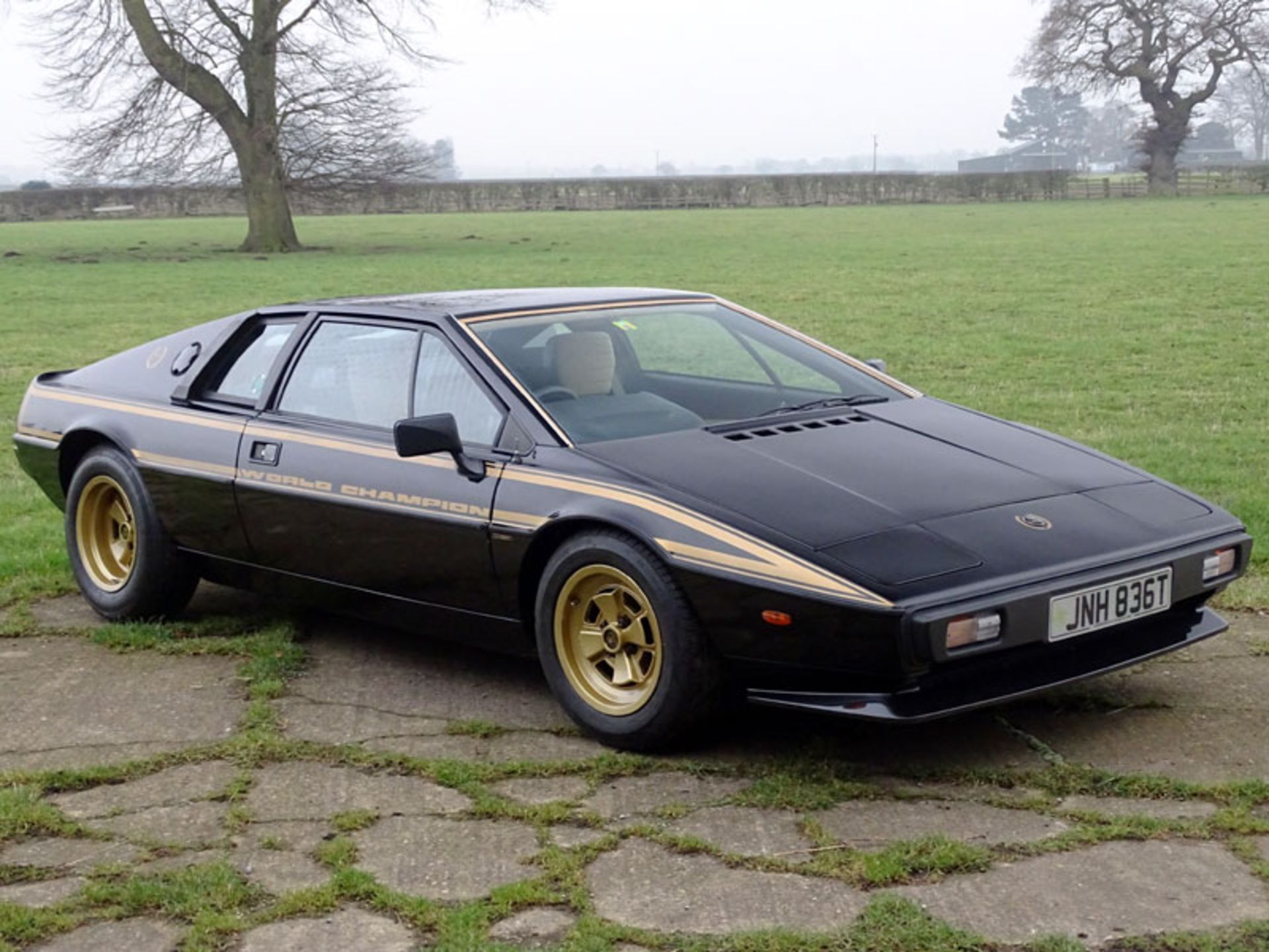 1979 Lotus Esprit 'Commemorative'