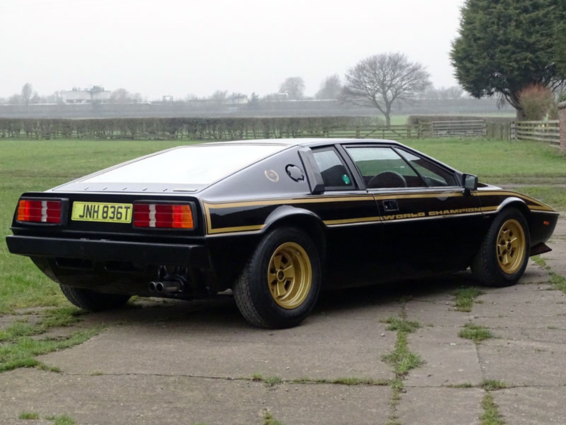 1979 Lotus Esprit 'Commemorative' - Image 4 of 12