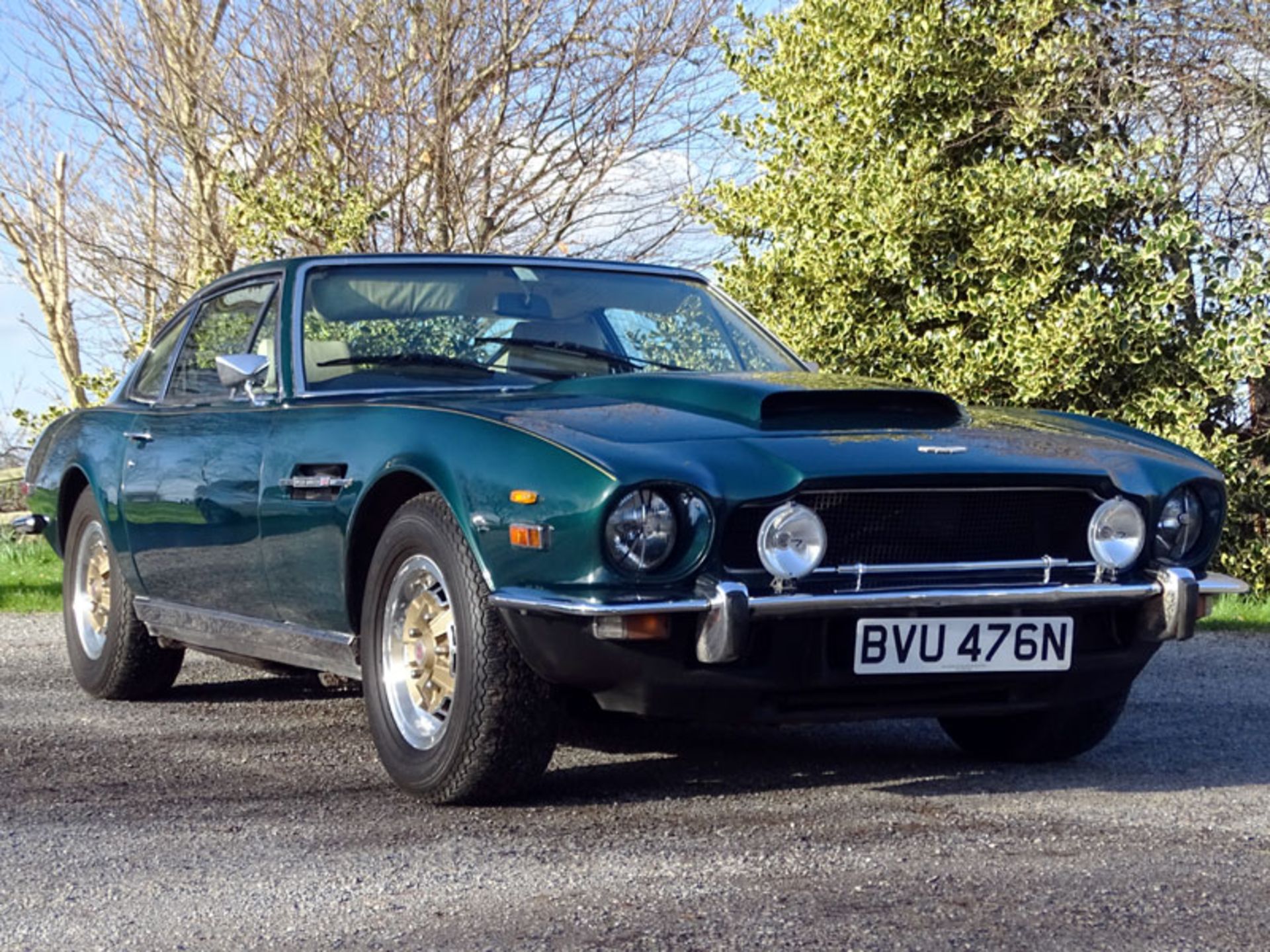 1974 Aston Martin V8