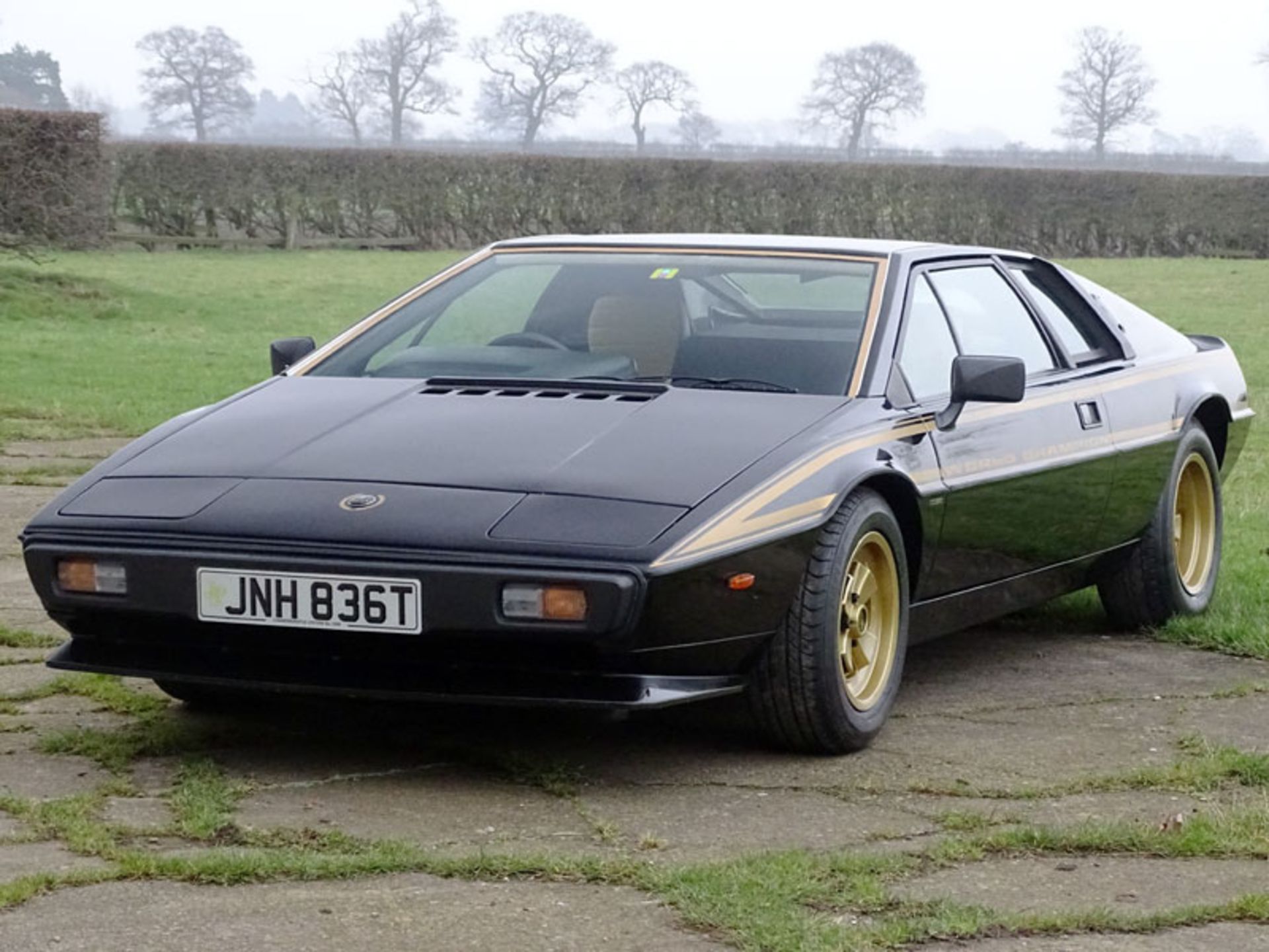 1979 Lotus Esprit 'Commemorative' - Image 2 of 12