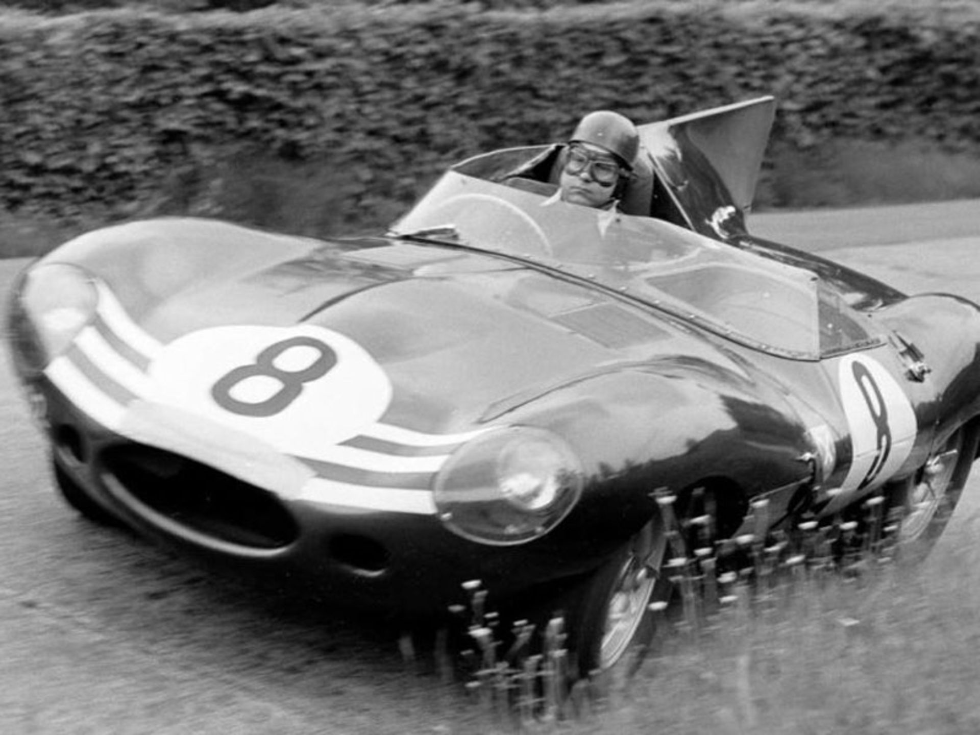 The Jaguar D-Type' by Pritchard, Palawan Press