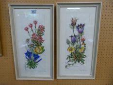 Pair of Lorenz Christensen watercolours of flowers