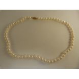 Cultured pearl necklace 18.5" long with approx 7mm pearls with 14ct clasp