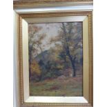 Oil on board in Gilt frame depicting 'Sheep in Woodland' by P. Buchanan - framed and signed