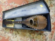 Italian Mandolin in case Ermenegildo Ferrari with mother of pearl inlaid fretboard and Tortoise