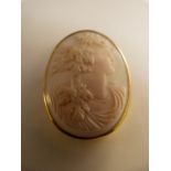 Victorian Angel Coral cameo brooch in 18ct Gold (depicting Goddess) approx 40mm x 31mm across