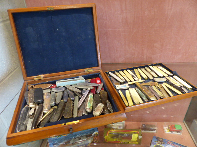 A large selection of pen knives and fruit knives approx. 75 in total in a mahogany box