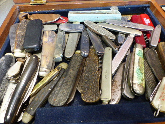 A large selection of pen knives and fruit knives approx. 75 in total in a mahogany box - Image 2 of 3