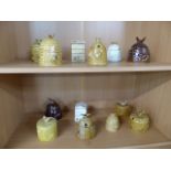 Collection of thirteen honey pots over two shelves