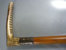 Horn handled Swagger stick with Birmingham hallmarked silver collar dated 1901