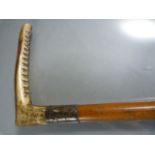 Horn handled Swagger stick with Birmingham hallmarked silver collar dated 1901