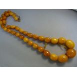 Butterscotch Oval Amber bead Necklace (AF) Graduated from approx: 18mm x 15mm, to approx: 9.5mm x