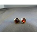 Pair of silver and Garnet earrings