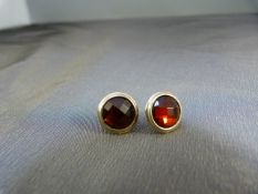 Pair of silver and Garnet earrings