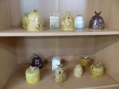 Collection of thirteen honey pots over two shelves