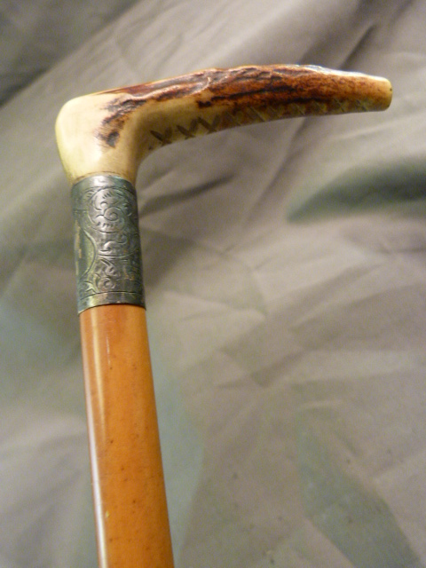 Cane hunting whip with horn handle and silver coloured collar