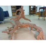 Oriental root carving - Large and imposing carved figure of an oriental Dragon/Seamonster scaling