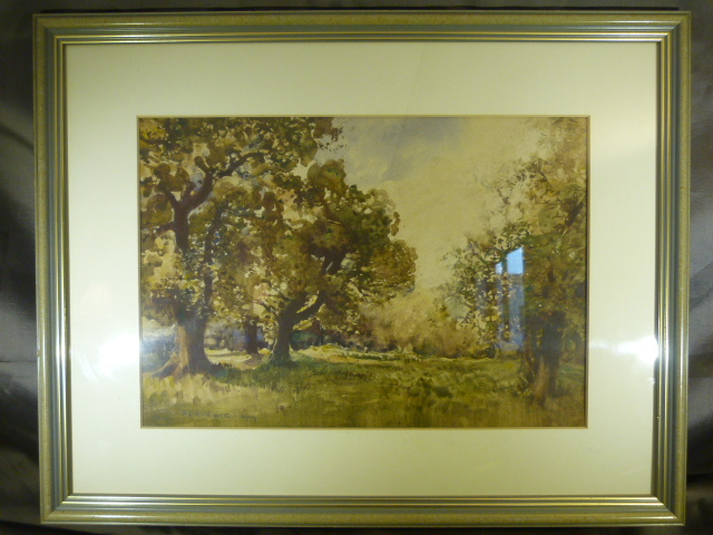 Attractive watercolour of a Woodland Scene, signature indistinct c.1900's