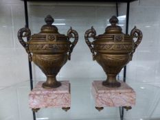 Pair of 19th Century French Urns on Marble Plinth