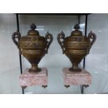 Pair of 19th Century French Urns on Marble Plinth