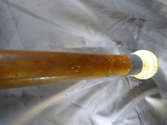 Malacca walking cane with large rounded top ivory handle and silver collar by C T Burrows & Sons ( - Image 3 of 9