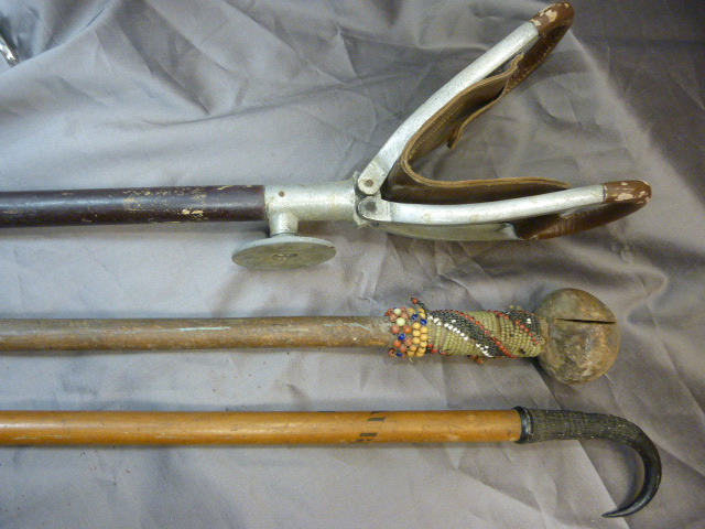 Malacca walking cane with large rounded top ivory handle and silver collar by C T Burrows & Sons ( - Image 5 of 9