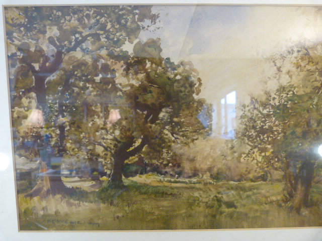 Attractive watercolour of a Woodland Scene, signature indistinct c.1900's - Image 2 of 3