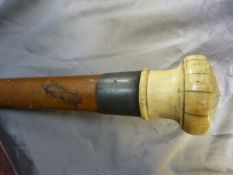 Malacca walking cane with large rounded top ivory handle and silver collar by C T Burrows & Sons (