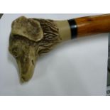 Malacca walking cane with carved dogs head grip. A/F