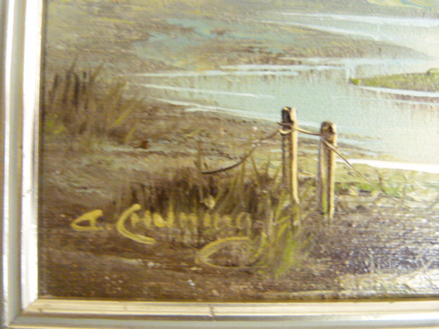 Three oils - One of a Mountainous scene signed C Bray and two others of heathland. - Image 10 of 10