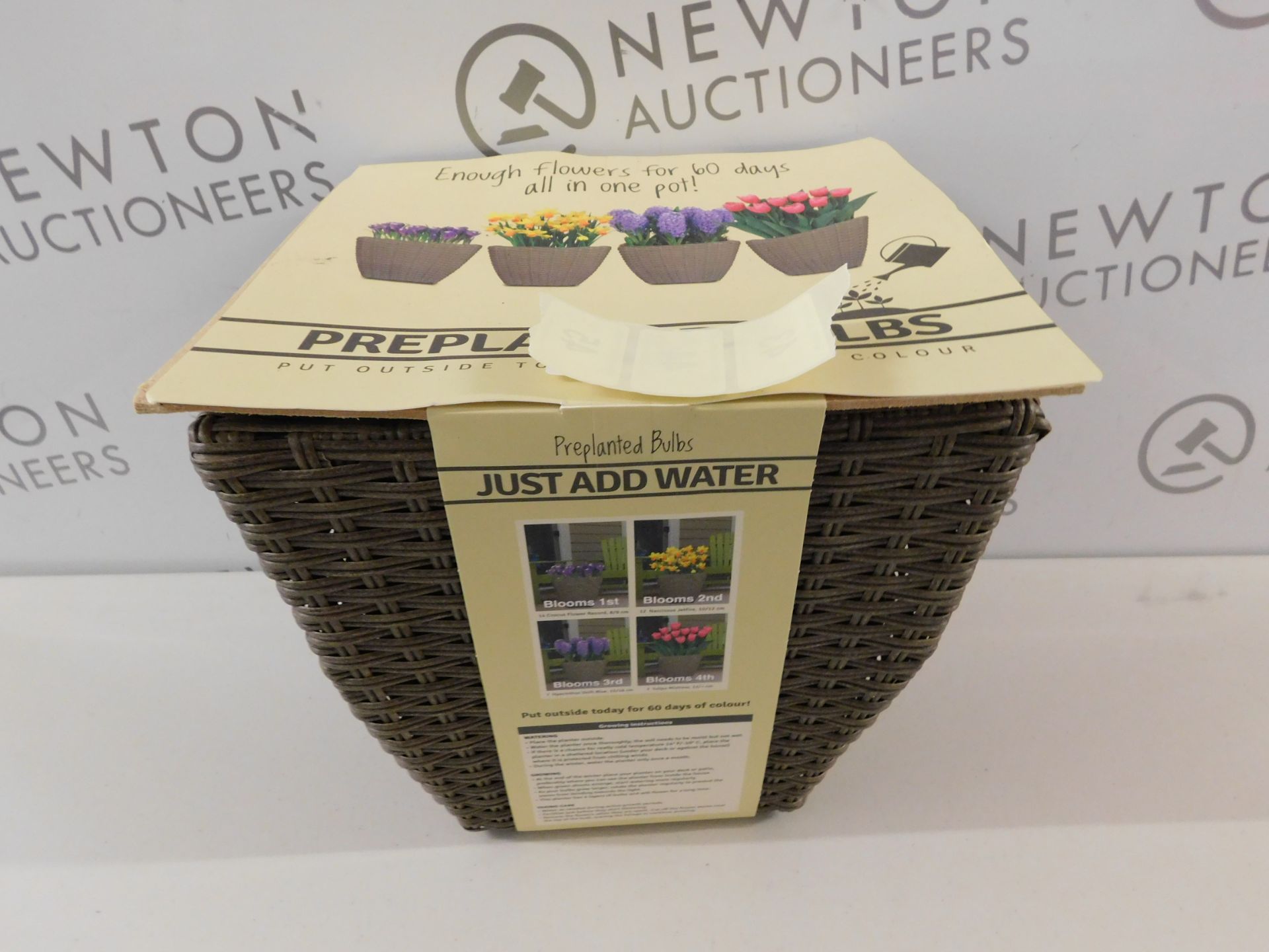 1 BRAND NEW PACK OF PREPLANTED JUST ADD WATER BULBS RRP £39.99