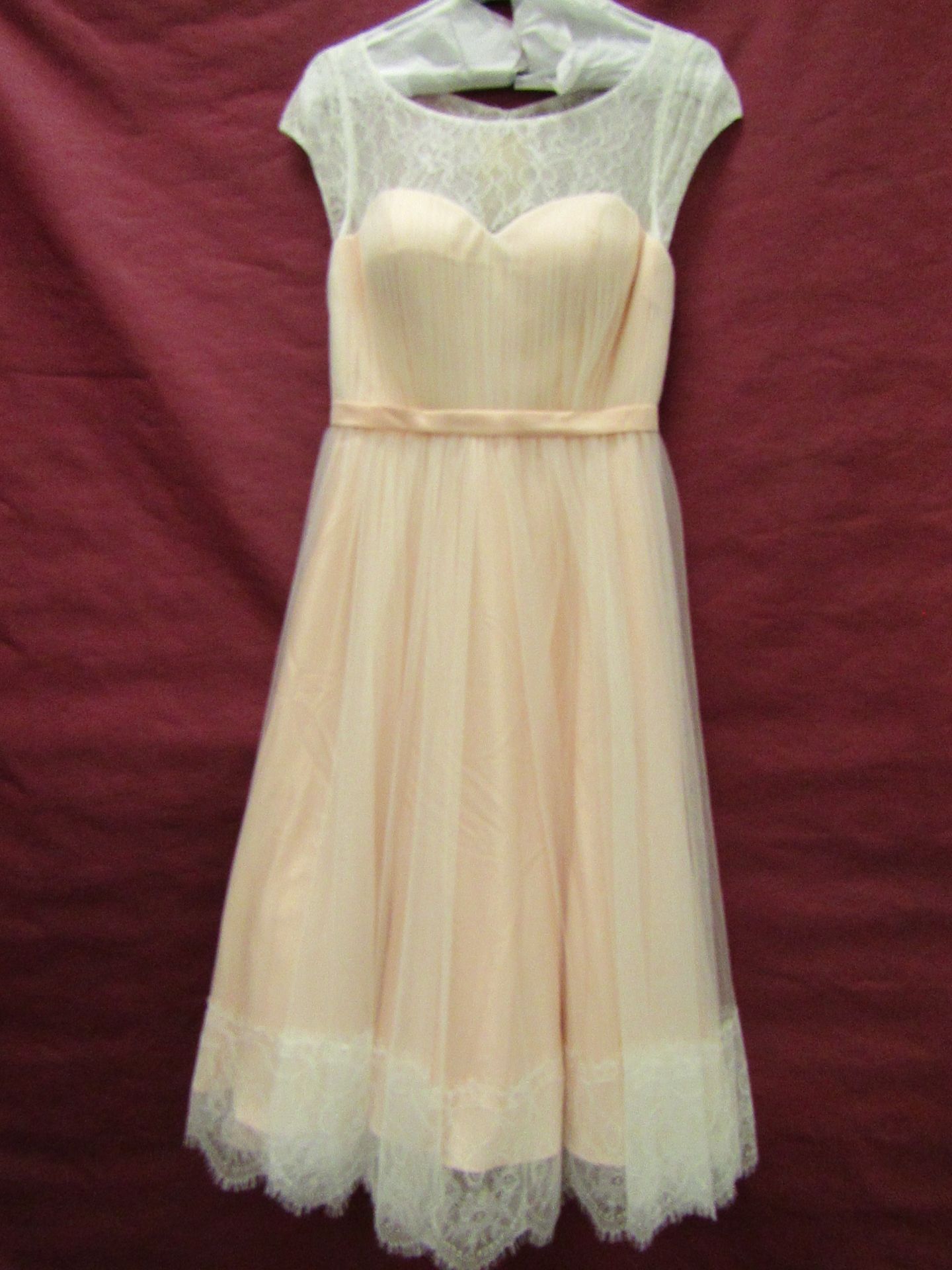 No VAT!! Vintage Inspired Designer Wedding / Bridesmaid Dress in Blush & White Lace size 12. Brand - Image 2 of 4