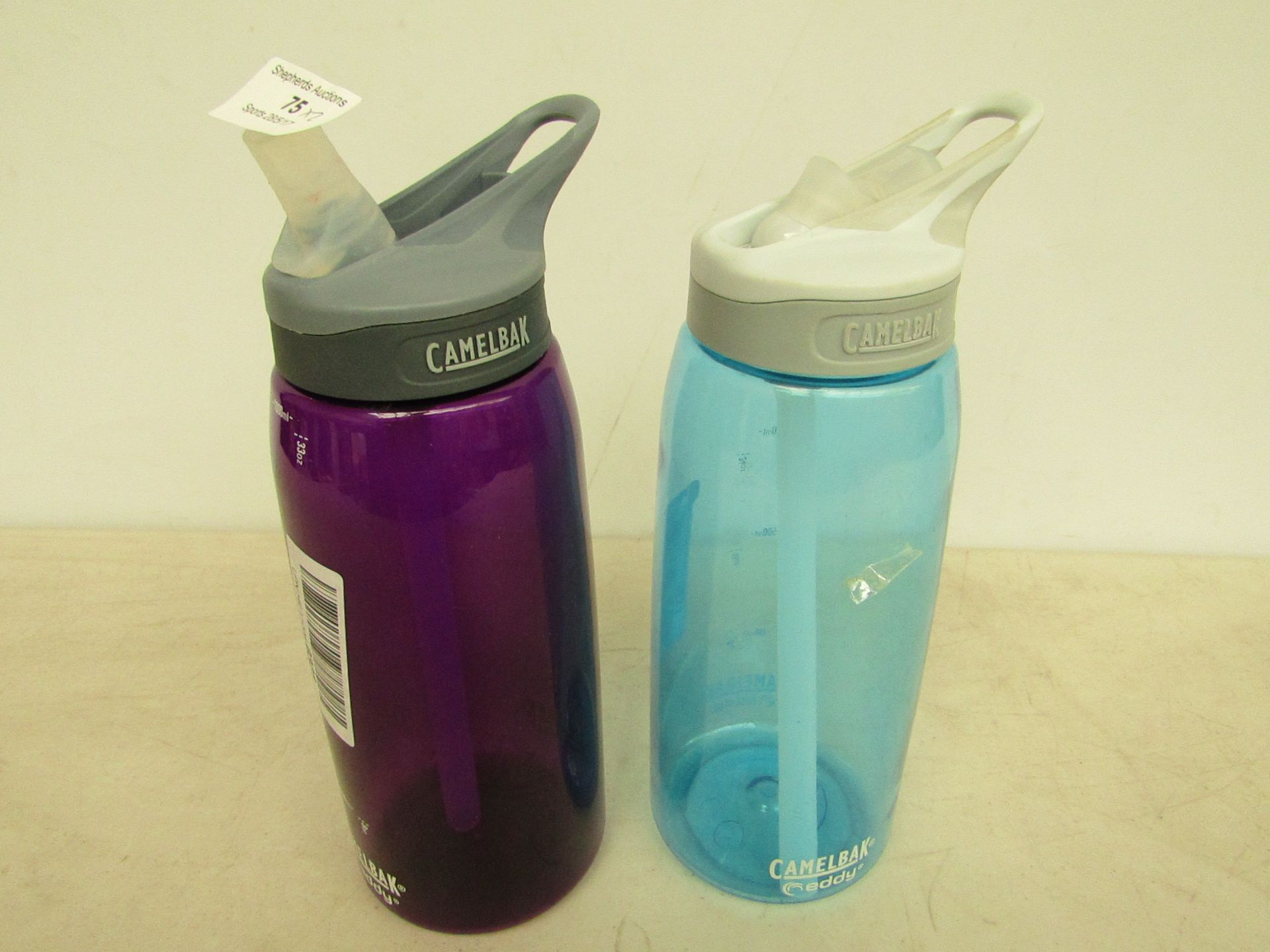 2x Camelbak 1000ml bottles, new.