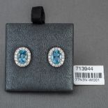 Aqua Marine and Diamond Cluster 18ct White Gold Earring RRP £3,249