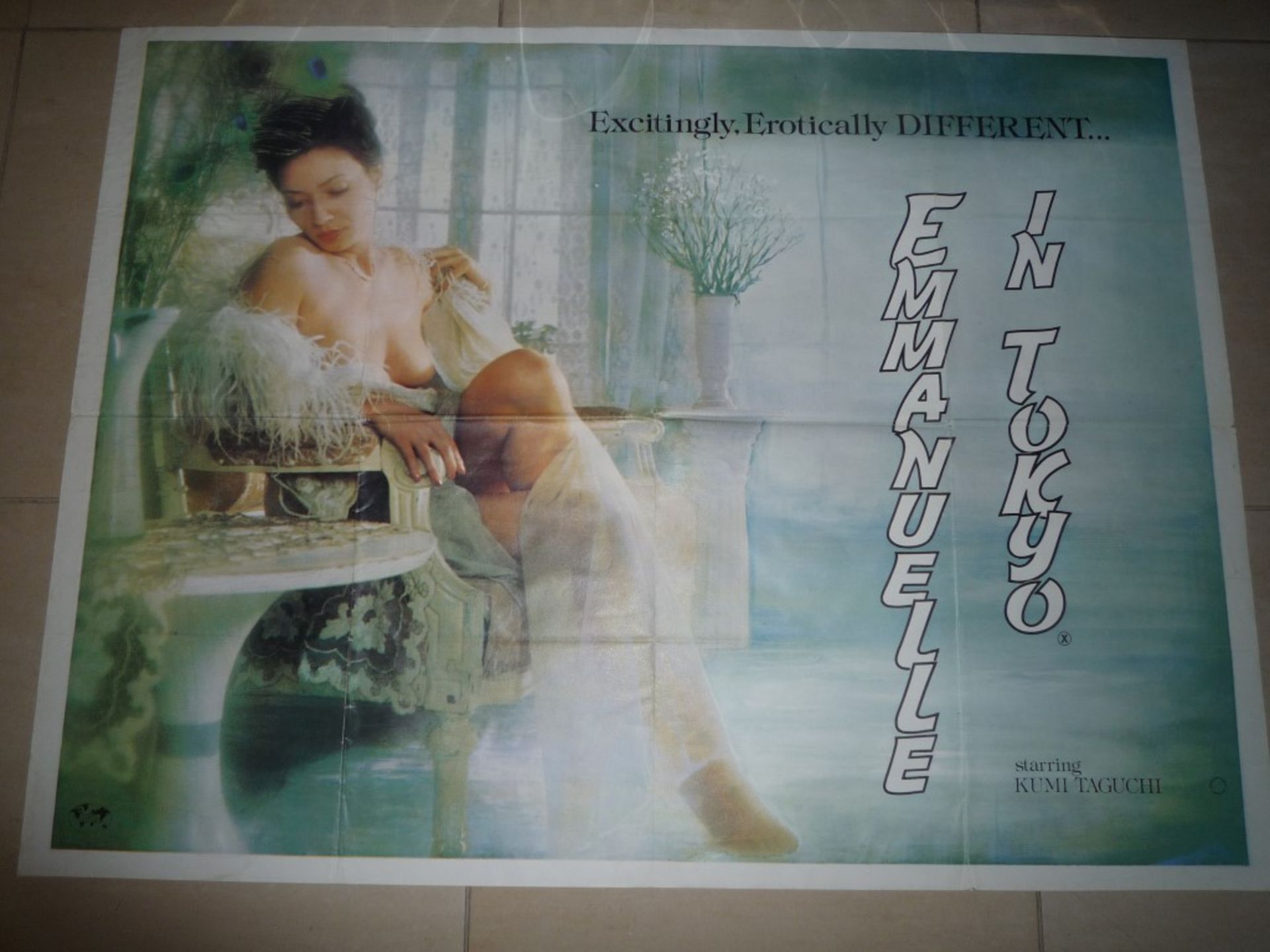 Emmanuelle in Tokyo poster