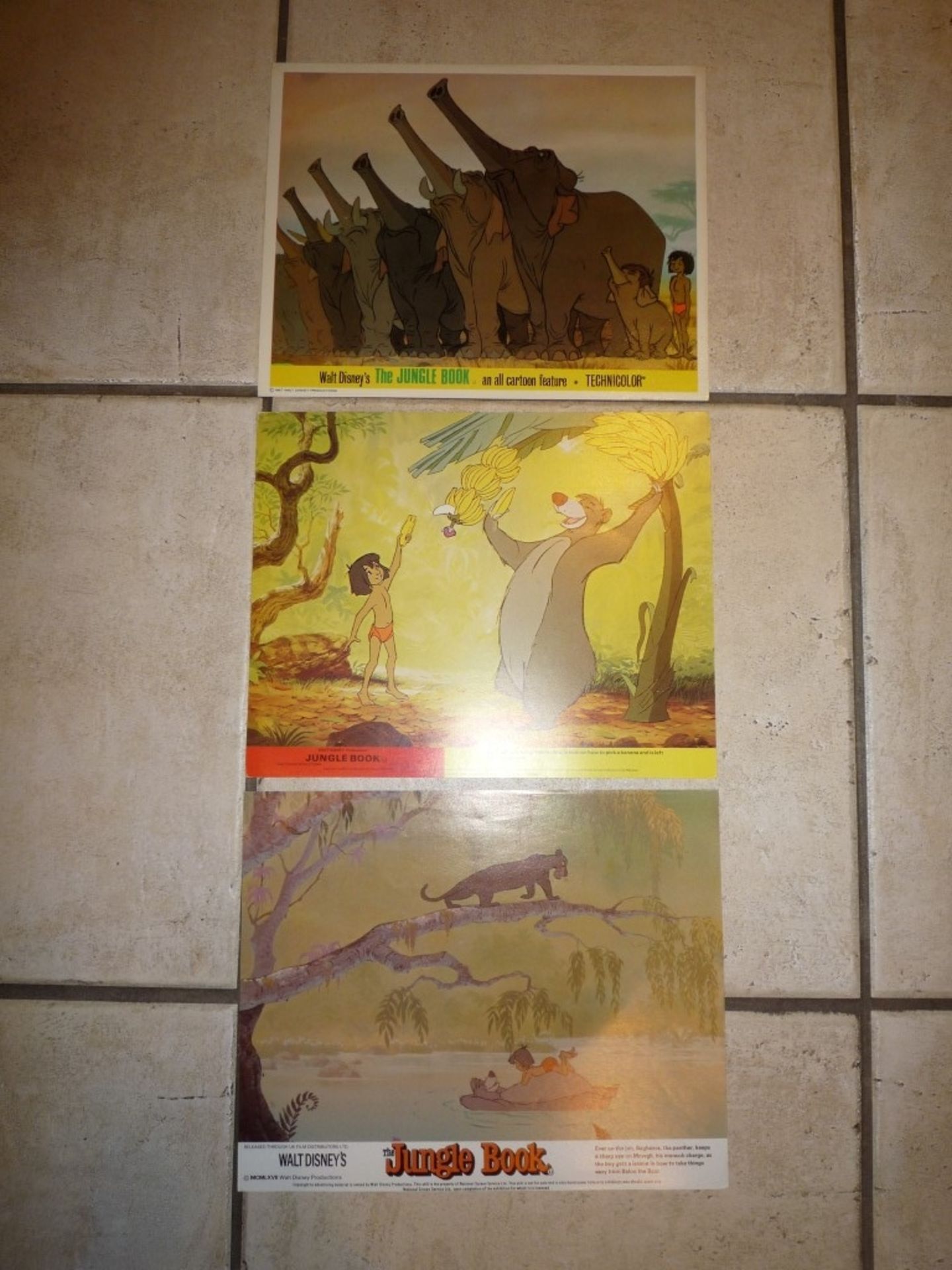 Jungle Book front of house cards