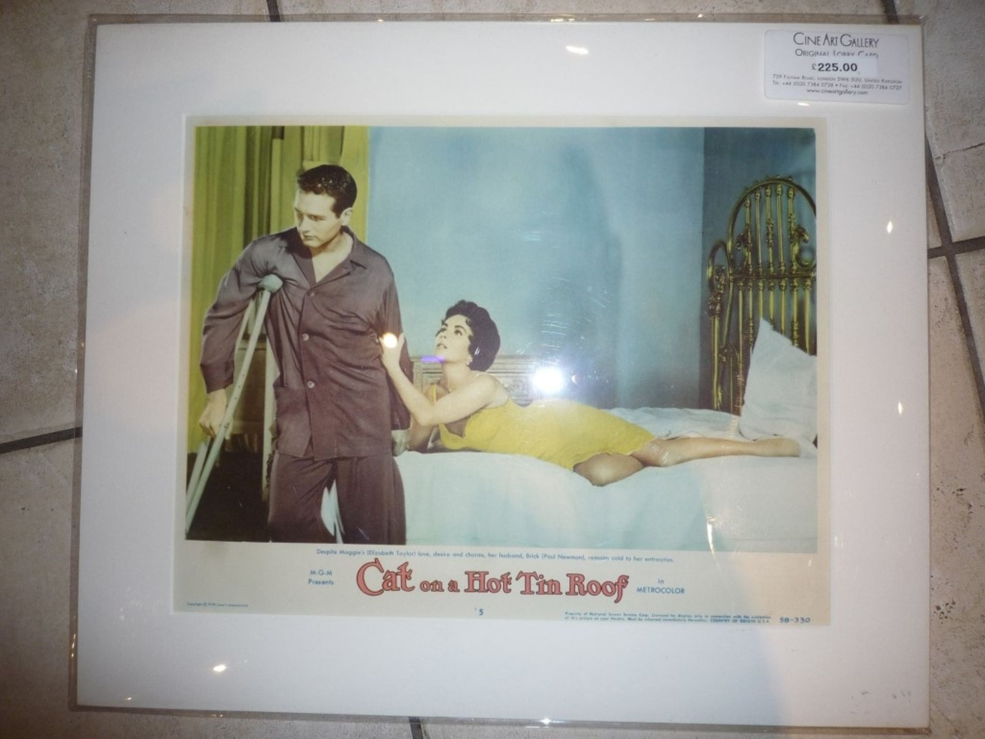 Cat on a Hot Tin Roof lobby card