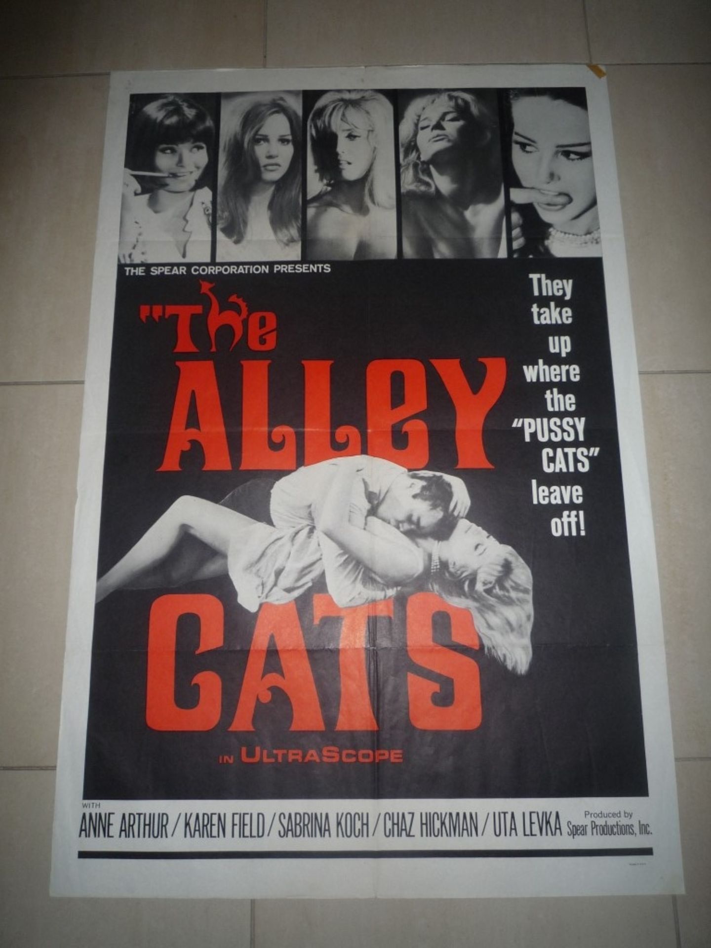 The Alley Cats poster