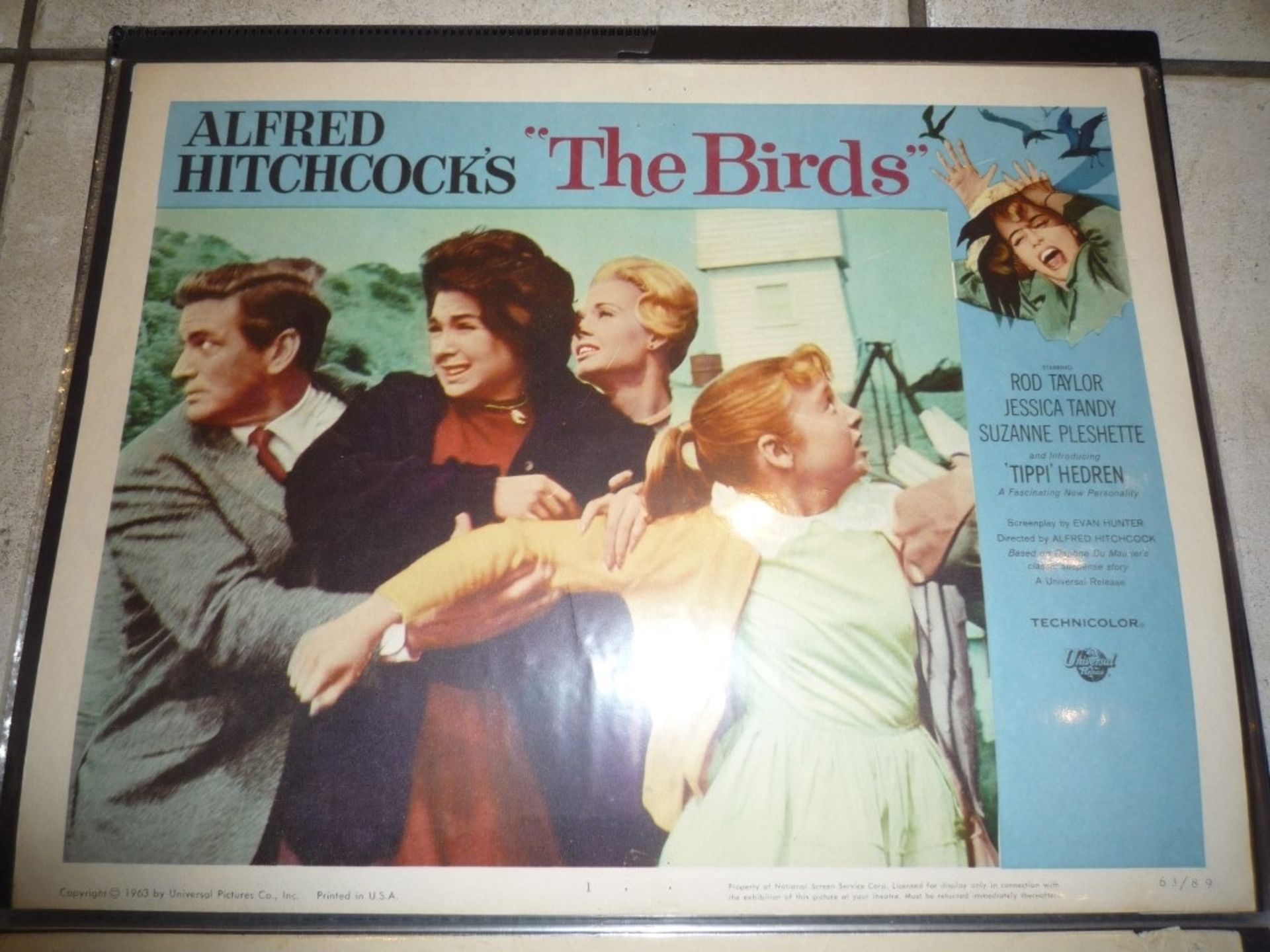 The Birds lobby card - Bild 2 aus 2