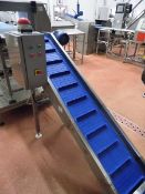 (CA) Itech swan neck conveyorInfeed height: c.200mm - A lift out charge will apply