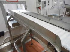 (CA) Direct Choice stainless steel incline conveyor - A lift out charge will apply