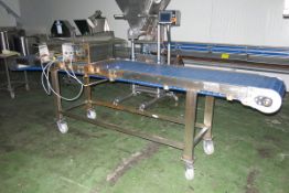 Stainless steel mobile horizontal conveyor - A lift out charge will apply