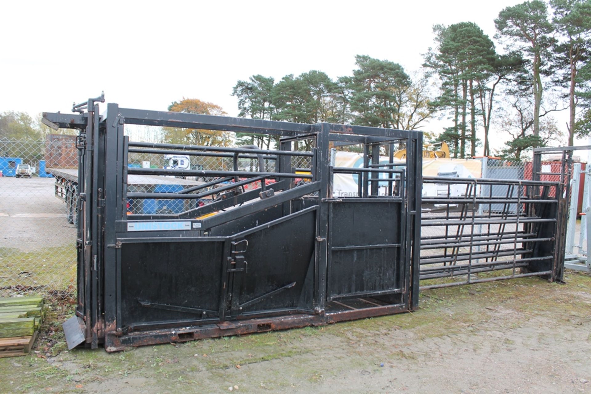 PREMIER CATTLE CRUSH WITH 4 GATES