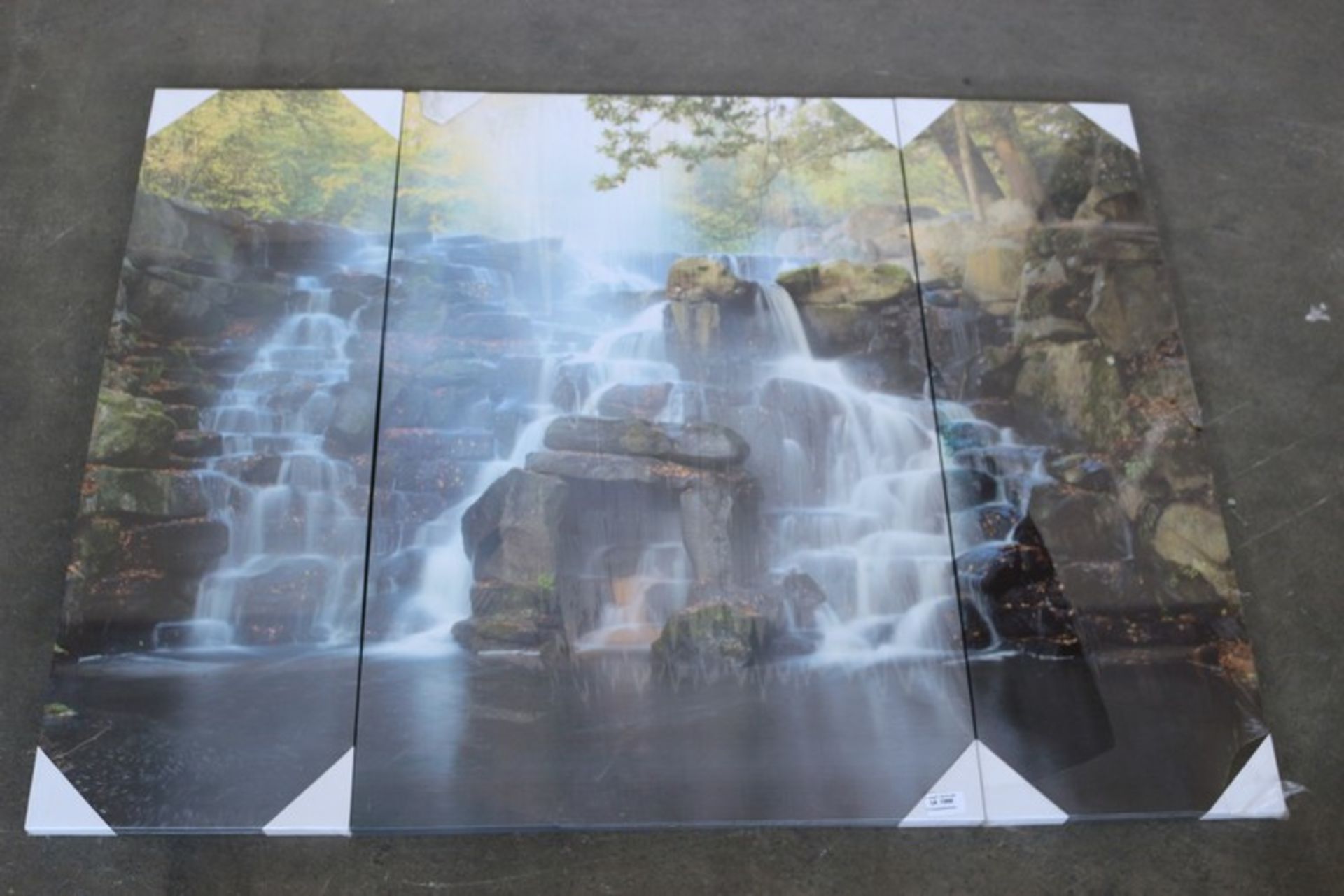 1 x WATERFALL PICTURE *PLEASE NOTE THAT THE BID PRICE IS MULTIPLIED BY THE NUMBER OF ITEMS IN THE