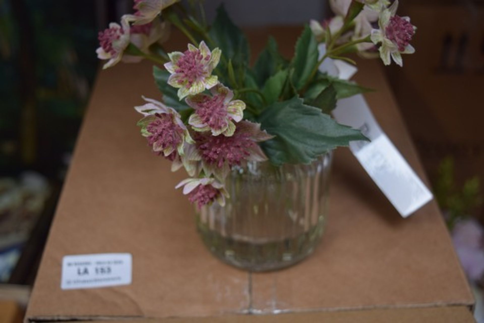 5 x PEONY ASTRANTIA IN A JAM JAR COMBINED RRP £100 (28.02.2017) *PLEASE NOTE THAT THE BID PRICE IS