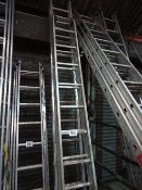 Double ladder & 2 single ladders